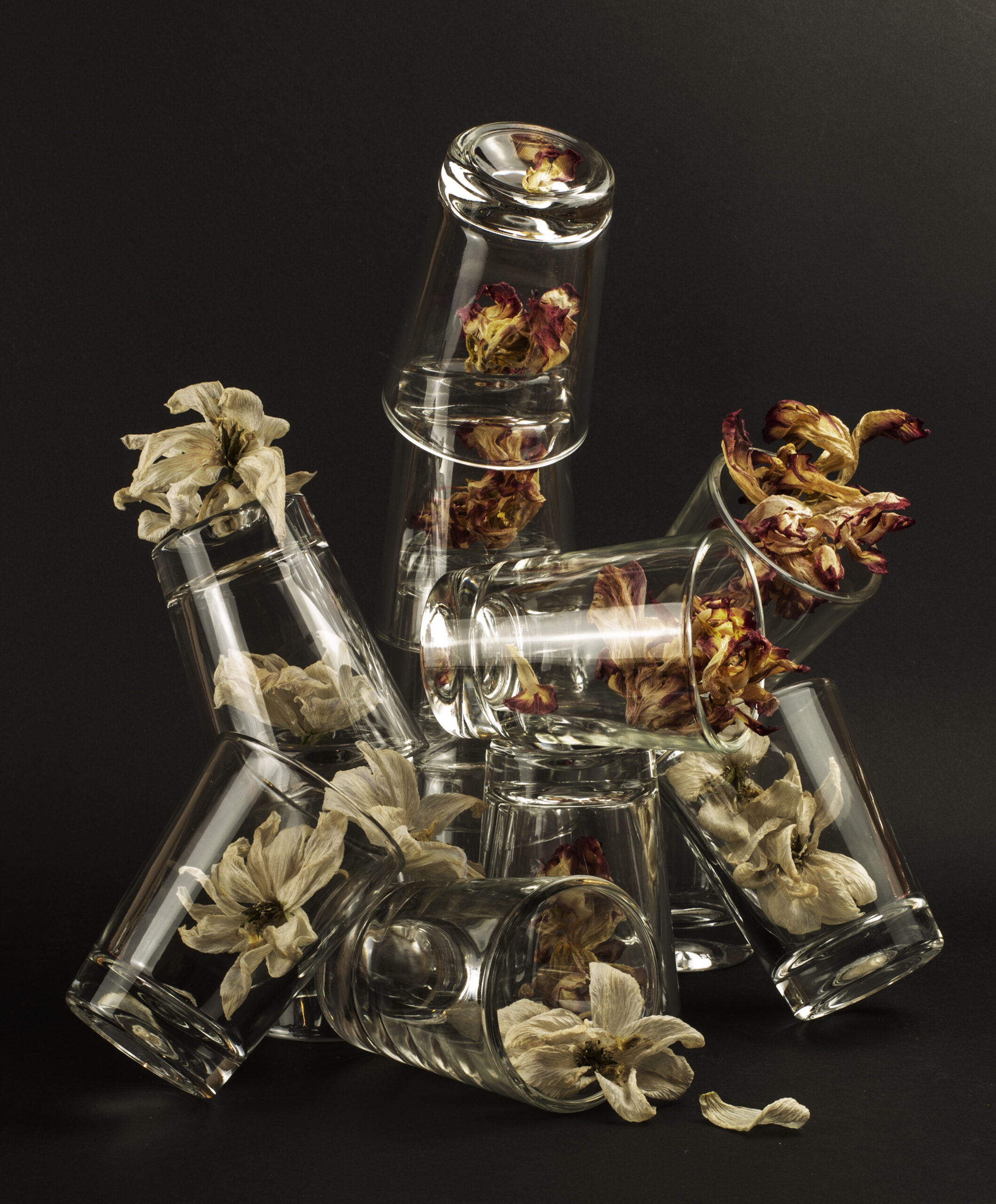 Glaeser2